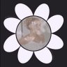 jenkkuha ꕤ｡˚ profil fotoğrafı