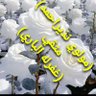 Фото профиля مولوي نذیر احمد متقي