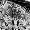 xxxodomker's profile picture