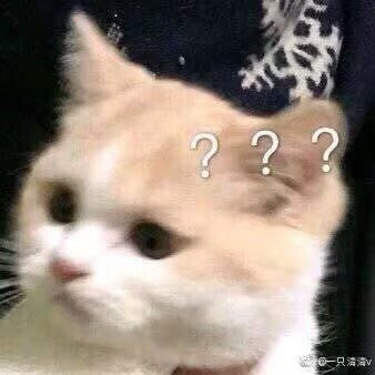 nuyourichdan's profile picture