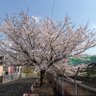 y-kubota profil fotoğrafı