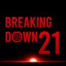 Profilbild von BreakingDown / ブレイキングダウン