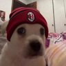 Profilbild von downiEL