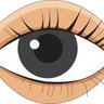 More•Eyes•See 的头像