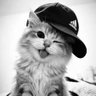 caicaa's profile picture