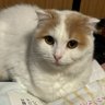 Фото профиля あやな
