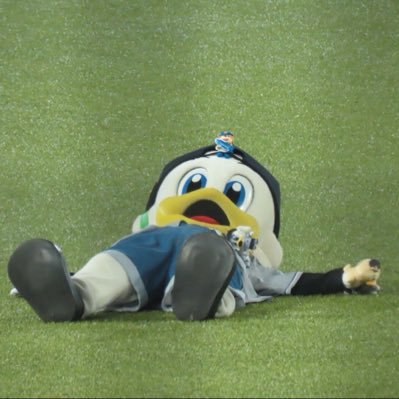 peiBow38's profile picture
