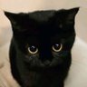 Drowsy😴 profil fotoğrafı