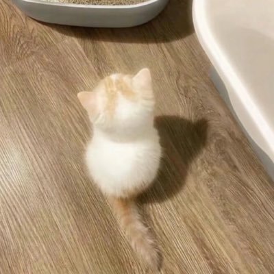 nownee_now's profile picture