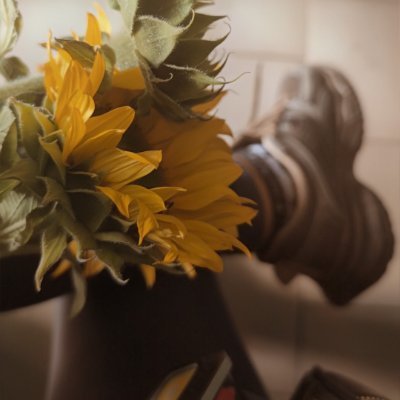 M: аr:a's profile picture
