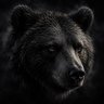 Profilbild von Dark