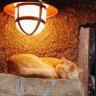 Фото профиля babu_kucing