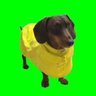 qtn๐t ๐'s profile picture