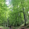 🏴 profil fotoğrafı