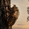 Фото профиля うつせみ(鬱蝉)