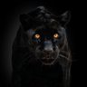 Profilbild von Void