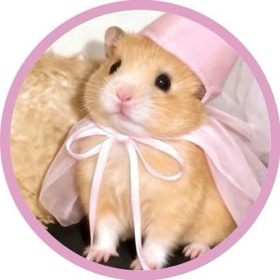 AGAINZTH's profile picture