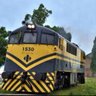 Фото профиля Locomotiva Garibaldi
