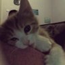 yi_k-siis's profile picture