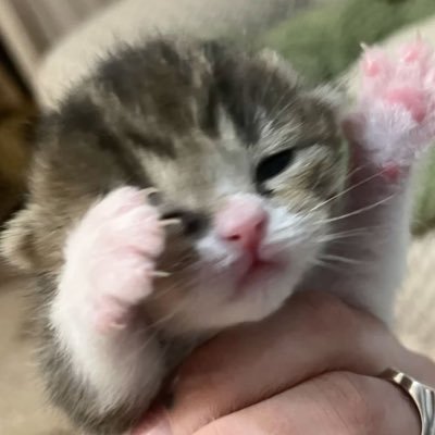 heygortor's profile picture
