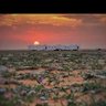 سالم الصبيحي 的头像
