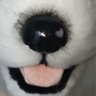 Good boy's profile picture