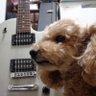 Akio Mon-ma~門間アキオ~Music Life with Pika profil fotoğrafı