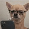 Jack Mash's profile picture