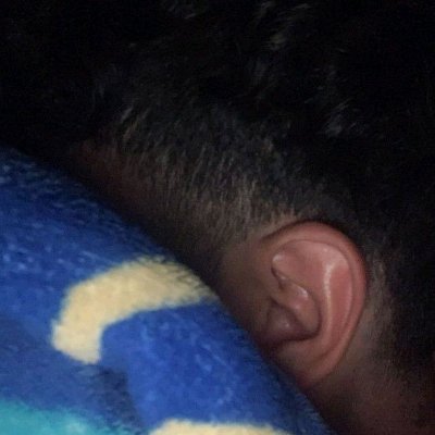 GalgoMrn's profile picture