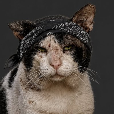 single_soul1's profile picture