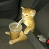 Ray's profile picture