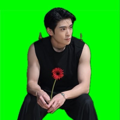 KiBest's profile picture