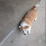 Фото профиля aaaaaaaaale🐶