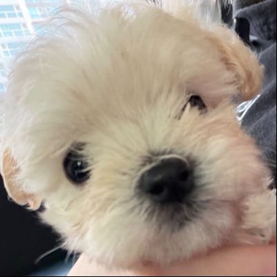 beyourpinkcloud's profile picture