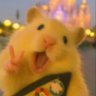 Profilbild von puttraa