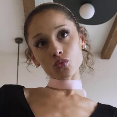velvet ꕤ's profile picture