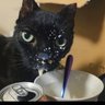 Agllesay's profile picture