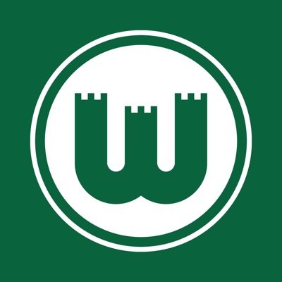 VfLWolfsburg_ES's profile picture