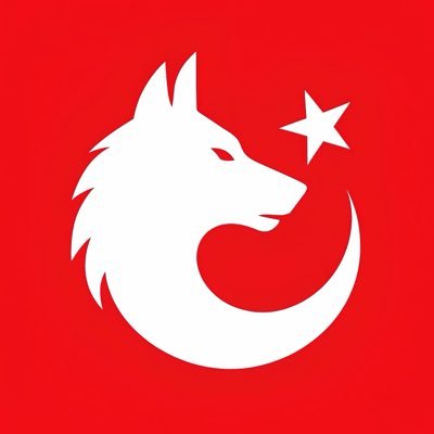 Türkçü Çizgi's profile picture