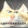 错春刀's profile picture