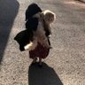 لاتعليق ... profil fotoğrafı