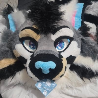 NixSnowpawsAD's profile picture