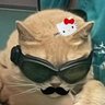 Profilbild von 🍒 cherby