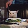 Smudge the table cat 的头像