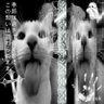August 的头像