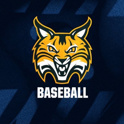 TheQBaseball's profile picture