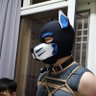 Canis 的头像