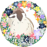 Фото профиля たくあん🐥🍜