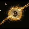 Profilbild von mike schuster coin guide