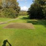 Tee Box Bets UK 的头像